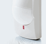 ���+�� ����������